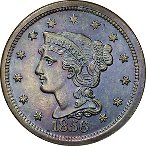 1856 ラージ セント N-5 スラント 5 美しい自然な色合い｜WORLD RESOURCE【KING店】