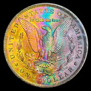 1884-O PCGS MS64 モーガン $ モンスター 鮮やかなレインボー トーニング (ビデオ)｜WORLD RESOURCE【KING店】 559,900円