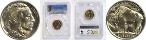 1926 5C バッファロー ニッケル PCGS MS-66+|WORLD RESOURCE【KING店】