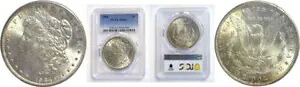 1904年 $1モルガンドル PCGS MS-64｜WORLD RESOURCE【KING店】 270,270円