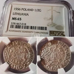 リトアニア - ジギスムント アウグストゥス - 1/2 グロス - 1556 年 - NGC MS65 !!!|WORLD RESOURCE【KING店】