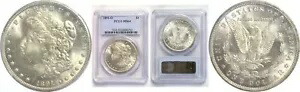 1891-O $1 モルガン ドル PCGS MS-64