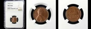 1925-D 1C NGC MS64BN-POP 50-PQ リンカーン小麦セント---