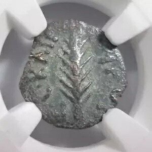 ポルシウス・フェストゥス・ユダヤAEプルタNGC VFネロ・パーム支店の下の聖書のお金
