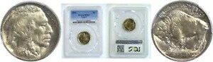 1913 T-1 5C バッファロー ニッケル PCGS MS-67｜WORLD RESOURCE【KING店】 374,220円