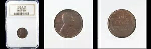 1925-S 1C NGC MS62BN-POP 75-PQ リンカーン セント|WORLD RESOURCE【KING店】