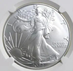 2022 NGC MS 68 表面ストラック スルー ミント エラー シルバー イーグル ドル、シルバー $1｜WORLD RESOURCE【KING店】