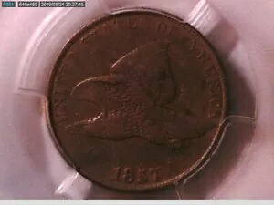 1857 フライング イーグル セント PCGS VF 30 24824801 ビデオ｜WORLD RESOURCE【KING店】