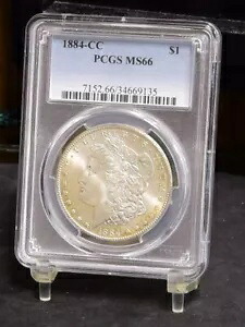 1884-CC モルガン ドル - PCGS MS66 (#50350-L)