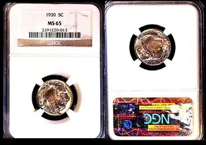 1930 5C NGC MS65 - レア レインボー トーニング - バッファロー ニッケル