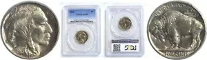 1915 5C バッファロー ニッケル PCGS MS-67｜WORLD RESOURCE【KING店】