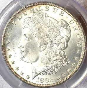 1885-CC $1 MS64+ PCGS/CAC- モーガン ドル|WORLD RESOURCE【KING店】