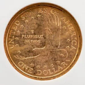 2001-P ANACS $1 サカガウィア ドル リバース クラッド層 MS63 がありません｜WORLD RESOURCE【KING店】