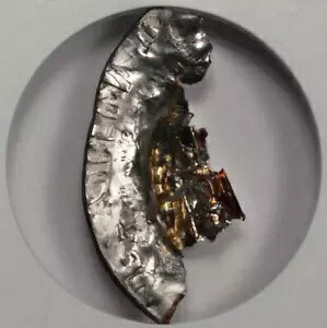 ANACS ストラクチャーおよび閉塞の破片 10 セント ミント エラー ユニーク|WORLD RESOURCE【KING店】