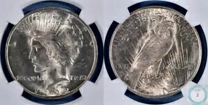 1922-D ピースダラー NGC MS 64 - ブロンズ銅の光沢のある美しさ!!!｜WORLD RESOURCE【KING店】