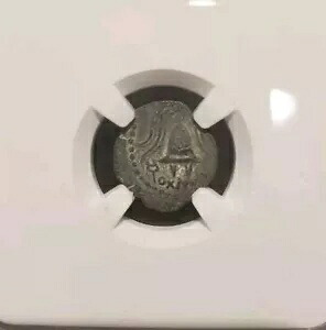 NGC 認証済み CH VF ヘロド アルケラウス 紀元前 4～6 年 プルタ。ブドウ｜WORLD RESOURCE【KING店】
