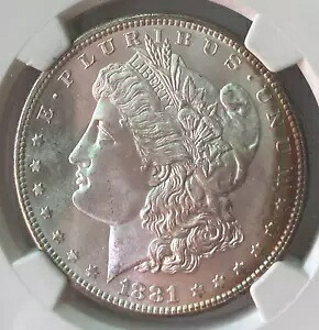 1881-S モーガン シルバー ダラー NGC MS 66、片方のエッジに?? レインボー リム トーニング付き｜WORLD RESOURCE【KING店】