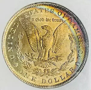1884-O モーガン シルバー ダラー コイン レインボー トーン NGC MS 63 (TA)｜WORLD RESOURCE【KING店】