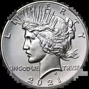 2021 ピース シルバー ダラー NGC MS70 100 周年記念 - 在庫 157,300円