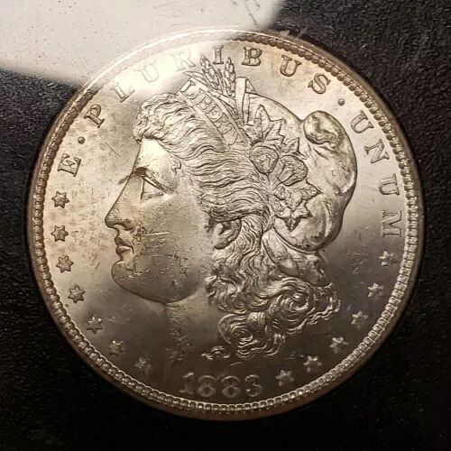 1883-CC $1 モルガン ダラー - オリジナル キャンバス バッグ トーニング - GSA - NGC MS 63 - B2880｜WORLD RESOURCE【KING店】