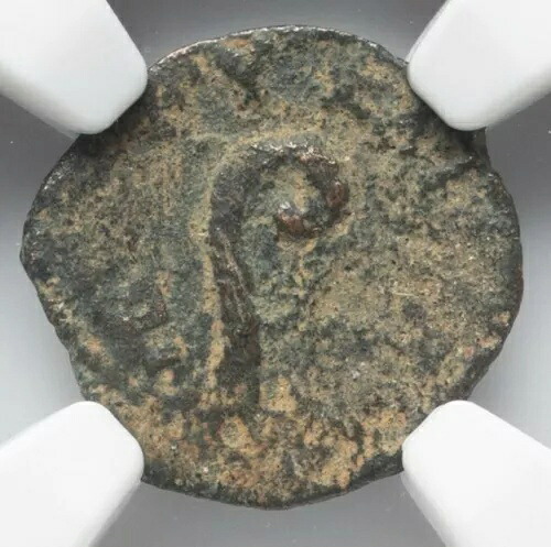 NGC Ch F CHOICE FINE ポンティウス ピラト ユダヤ イエス 聖書コイン 26-36 AD AE Prutah|WORLD RESOURCE【KING店】