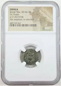 ユダヤの最初の反乱の青銅のプルタコイン - NGC スラブ、西暦 67/68 年 2 年目｜WORLD RESOURCE【KING店】