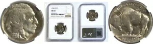 1926-D 5C バッファロー ニッケル NGC MS-64