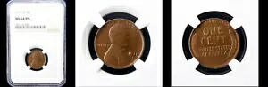 1911-D 1C NGC MS64BN-POP99- PQ リンカーン セント