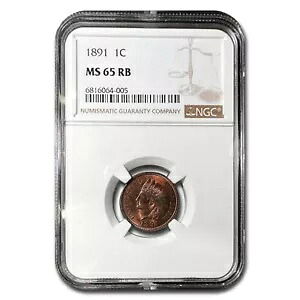 1891 インディアンヘッドセント MS-65 NGC (レッド/ブラウン)｜WORLD RESOURCE【KING店】