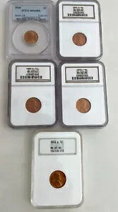 5- 米国 PCGS/NGC 等級造幣局 RD ペニー|WORLD RESOURCE【KING店】