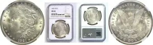 1921-D $1 モルガン ドル NGC MS-66|WORLD RESOURCE【KING店】