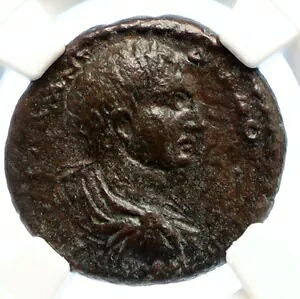 ディアドゥメニアン マクリヌスの息子 AMISOS PONTUS 古代ローマのコイン EAGLE NGC i95598｜WORLD RESOURCE【KING店】