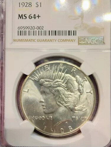 1928年 ~ ピースシルバードル ~ NGC MS64+ ~ 明るい白いコイン!