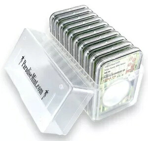 10 x 2023 中国 10 元 30 グラム シルバー パンダ NGC MS70 竹コア クリアケース付き