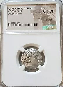 キレナイカ キレネ ディドラクム アポロ & シルフィウム NGC CH VF 古代コイン｜WORLD RESOURCE【KING店】