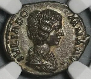 193 NGC AU ジュリア ドムナ デナリウス ローマ帝国 エメサ フォ??ルトゥナ 血統 (21020605C)｜WORLD RESOURCE【KING店】