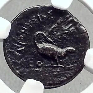 イオニアのクラゾメナイ 本物の古代 387BC ギリシャコイン アポロ & スワン NGC i72625｜WORLD RESOURCE【KING店】 245,850円