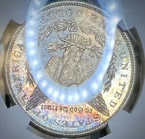1880-S $1 モーガン シルバー ダラー NGC MS65 レインボー トナー｜WORLD RESOURCE【KING店】