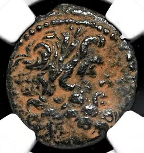 ベツレヘムの星 イエス キリスト降誕 聖書コイン アウグストゥス 27 BC-AD14 アンティオキア NGC ChVF｜WORLD RESOURCE【KING店】
