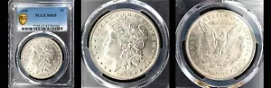 1899年 $1 PCGS MS65-ONLY 532 FINER- PQ モーガンドル---｜WORLD RESOURCE【KING店】