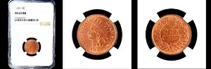 1885 1C NGC MS65RB-POP 87-PQ インディアンヘッドセント｜WORLD RESOURCE【KING店】 878,955円