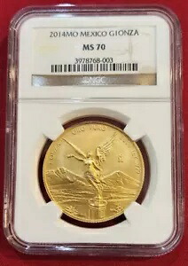 2014年メキシコ1オンスリベルタッドオンサ金貨NGC MS70~発行枚数少|WORLD RESOURCE【KING店】