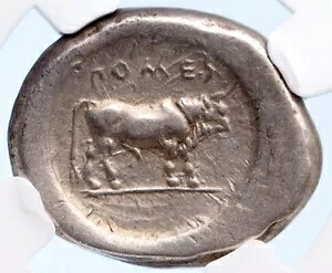 ポセイドニア パエストゥム ルカニア 470BC 古代シルバー スターター ギリシャ コイン NGC cVF i61200|WORLD RESOURCE【KING店】