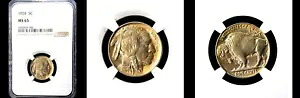 1924 5C NGC MS65-PQ バッファローニッケル---｜WORLD RESOURCE【KING店】