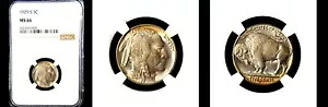 1929-S 5C NGC MS66-バッファローニッケル---｜WORLD RESOURCE【KING店】