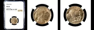 1926-D 5C NGC MS64-PQ バッファローニッケル|WORLD RESOURCE【KING店】