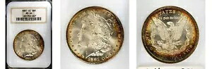 1881-CC $1 MS64 NGC-リムトーニング PQ-モルガン・ダラー---|WORLD RESOURCE【KING店】