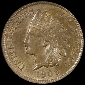 1909-S インディアンヘッド セント、NGC CAC KEY DATE GEM PQ+ で MS65BN と評価｜WORLD RESOURCE【KING店】