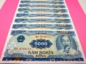 旧紙幣　ベトナムドン　7枚　10000ドン ベトナムドン(VND) 10000ドン紙幣の価格・金額（買取）ならJ