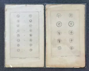 1700 年代の彫刻ページ ユダヤ人の反乱のコイン ローマのメダル 聖書辞典
